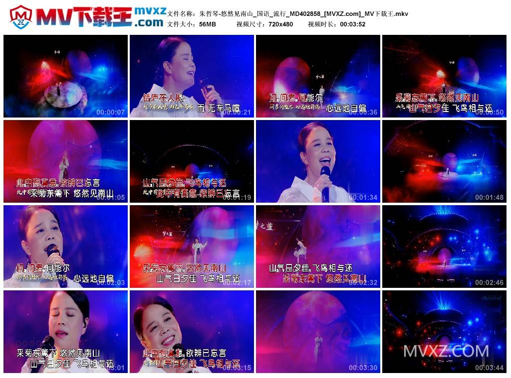 朱哲琴-悠然见南山_国语_流行_MD402858